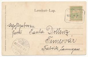 1905 Medgyes, Mediasch, Medias; Ein Blick auf Mediasch, Landwirtschaftliche Lehr-Anstalt / Mezőgazda...