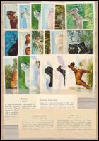 128 db állatokat ábrázoló oktató, propaganda bélyeg, hátoldalán leírásokkal, 4 db berakólapon