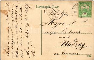 1909 Orsova, Kazán Dubovai rész, gőzhajó, lovas szekér / gorge, steamship, horse cart (EB)