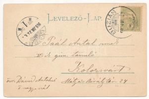 1905 Buziás, Hidegvízgyógyintézet. Montázs szamár hintóval / spa. Montage with donkey chariot (kopot...