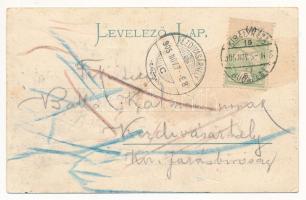 1905 Nagykároly, Carei; Megyeháza. Csókás László kiadása, montázs / county hall. montage (EK)