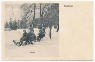 1911 Beszterce, Bistritz, Bistrita; Sétatér télen szánkózókkal, téli sport. Bartha M. kiadása / promenade in winter with sledding people, winter sport (EK)