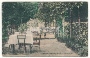 1914 Kolozsvár, Cluj; Donát úti Pferschy mulató, vendéglő kertje / restaurant garden (fl)