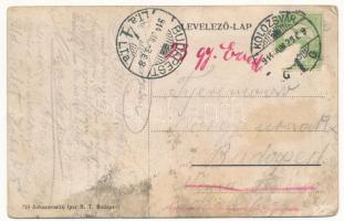 1914 Kolozsvár, Cluj; Donát úti Pferschy mulató, vendéglő kertje / restaurant garden (fl)