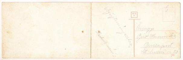 Ada Kaleh (Orsova), Román-magyar-szerb határ. 2-részes kinyitható panorámalap / Romanian-Hungarian-S...