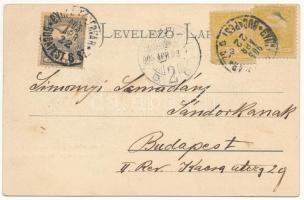 1905 Lippa, Lipova); Kereskedelmi iskola és vashíd. Montázs csónakázókkal, Konstantin Sándor kiadása...