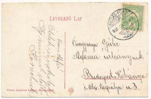 1908 Buziás-fürdő, Baile Buzias; Mihály forrás. Montázs gólyával, Francz testvérek kiadása / mineral...