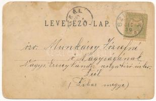 1904 Szemlak, Semlac (Arad); templom, gyógyszertár, Spitzer Mór üzlete és saját kiadása / church, pa...