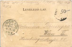 1902 Trencsénteplic, Trencianske Teplice; látkép. Edgar Schmidt kiadása / general view, spa (Rb)