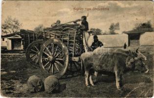 1916 Kujtim nga Shqypenia / Albán folklór / Albanian folklore (szakadás / tear)