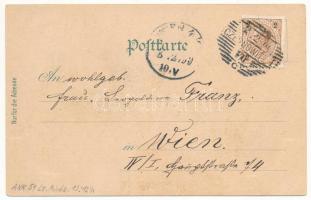 1899 (Vorläufer) Vatra Dornei, Dornavátra, Bad Dorna-Watra (Bukovina, Bukowina); Falkenhaynquelle, B...