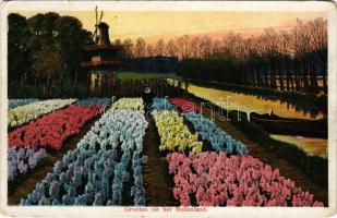 1918 Amsterdam, Groeten uit het Bollenland / windmill, garden (EK)