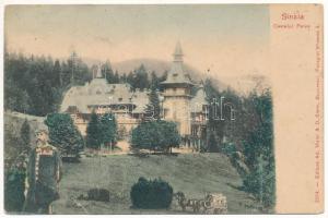 Sinaia, Castelul Peles. Ad. Maier & D. Stern, montage with Carol I of Romania (hole)