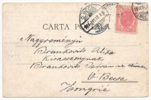 1907 Rucar (Arges), Salutari din Romania. Ad. Maier & D. Stern (EK)