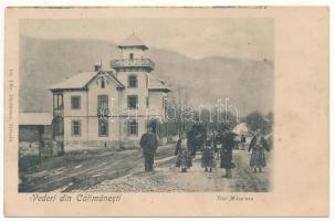 Calimanesti, Vila Macelaru / villa (Rb)