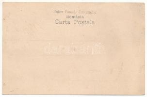 Calimanesti, Vila Macelaru / villa (Rb)