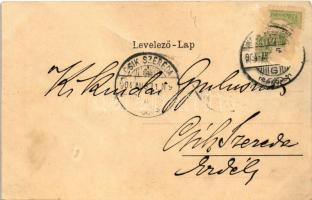 1904 Nagybecskerek, Zrenjanin, Veliki Beckerek; Hunyadi utca, piac, üzletek / Hunyadygasse / street ...