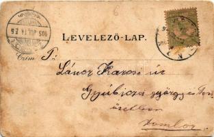 1905 Versec, Werschetz, Vrsac; Ferenc József tér, piac. Wilhelm Wettl kiadása / Franz-Joseph-Platz /...