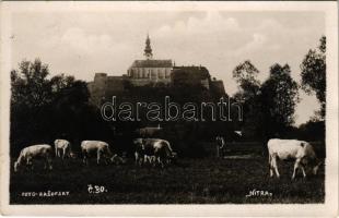 1933 Nyitra, Nitra; Püspöki vár, tehenek / bishops castle, cows. Foto Rasofsky photo (kis szakadás / small tear)