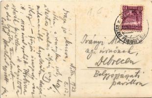 1933 Nyitra, Nitra; Püspöki vár, tehenek / bishop's castle, cows. Foto Rasofsky photo (kis szak...