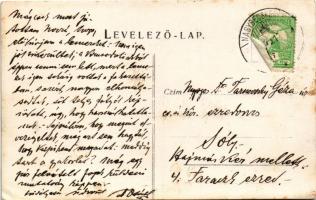 1909 Újvidék, Novi Sad; Pétervárad vár, sáncok / Grad Petrovaradin / Festung Peterwardein / castle, ...