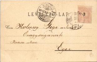 1899 (Vorläufer) Gyulafehérvár, Karlsburg, Alba Iulia; Oláh cigány, utca részlet. A. Palocsay kiadás...