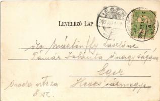 1905 Temesrékas, Temes-Rékás, Recas; Lugosi út, Stitzl Jakab üzlete / Lugoser Strassen-Teil / street...