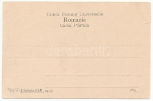 Baile Govora, Vila Florian / villa