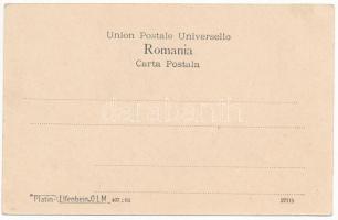 Baile Govora, Stabilimentul bailor / spa. Ed. Libr. Dimitrescu