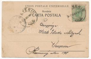 1901 Turnu Severin, Szörényvár; Gradina publica / park (EK)