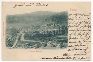 1900 Sinaia, Vedere Generala (EK)