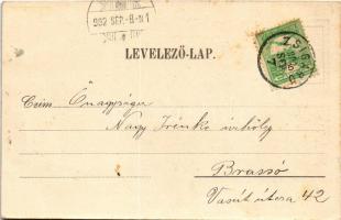 1902 Zsigárd, Zigárd, Zihárec; Római katolikus és református templom, Özv. Erdély Lajosné vegyeskere...