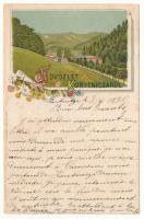 1895 (Vorläufer) Koritnyica, Korytnica; Szecessziós virágos kép / general view. Handowsky, Steiner & Frank Wien No. 907. Art Nouveau, floral, litho (Rb)