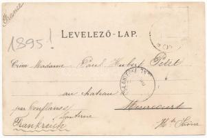 1895 (Vorläufer) Koritnyica, Korytnica; Szecessziós virágos kép / general view. Handowsky, Steiner &...