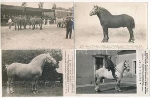 Francia lovak - 4 db régi fotó képeslap / French horses - 4 pre-1945 photo postcards