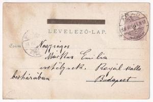 1898 (Vorläufer) Arad, Városház tér, Endrődi Salacz Gyula királyi tanácsos és Arad szab. kir. város ...