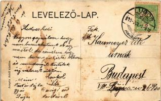 1910 Lugos, Lugoj; Deák sor, Julius Ilka üzlete. Auspitz Adolf kiadása / riverside, shop (fl)