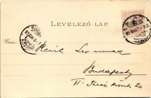 1899 (Vorläufer) Arad, Szabadság tér, színház épület délről nézve, Jószágkormányzóság palotája / squ...