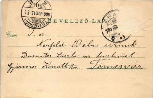 1900 Arad, József főherceg úti részlet, Arad-Csanádi Egyesült Vasutak palotája, lóvasút, egykori gőz...