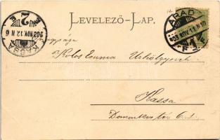 1903 Arad, Baross park, kioszk, vendéglő terasza. Bloch H. kiadása. Montázs gyerekekkel, hölgyekkel ...