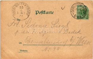 1894 (Vorläufer) Gernrode, Haus Hagenthal, Kirche, Stufenberg. Art Nouveau, floral (EK)