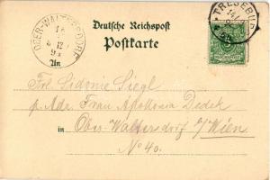 1894 (Vorläufer) Treseburg, Pfeil Denkmal, Wilhelms Blick, Gartenrestaurant und Pt. Kegelbahn G. Mül...