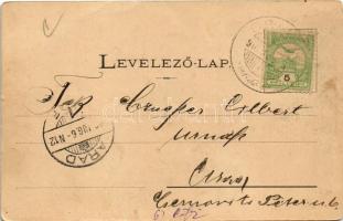 Arad, Andrássy tér, piac, Rosenberg József, Limbeck János üzlete, lóvasút. Kerpel Izsó kiadása / squ...