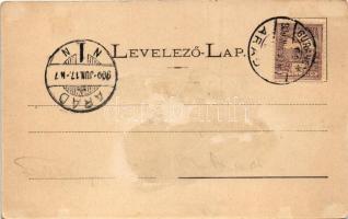 1900 Borossebes, Boros-Sebes, Sebis; Piac, Steiner Samu üzlete, emlékmű. Honisch udvari fényképész f...