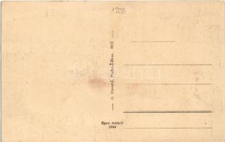 Vihnye, Vihnyefürdő, Kúpele Vyhne; Dvihali ház / villa (fl)