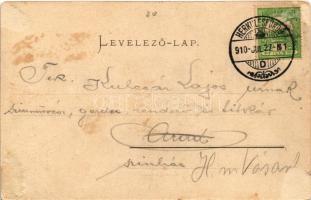 1910 Orsova, Kazán-szoros. R. Krizsány kiadása / Kasanpartie / Cazane / gorge (Rb)