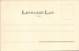 Bártfa-fürdő, Bardejovské Kúpele, Bardiov, Bardejov; Otthon szálloda. Divald Adolf 112. / hotel (EK)