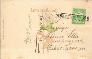 1910 Besztercebánya, Banská Bystrica; Mátyás tér és piac, húscsarnok, Löwy Ferenc, Flóra, Kohn Józse...