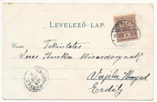 1901 Pöstyén, Piestany, Pistyan; Ferenc József út, Strasser Kávéház, Wilhelms György üzlete. A. Bern...