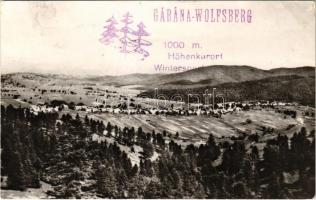 1966 Wolfsberg, Szörényordas, Volfsberg, Garana; látkép / general view + Garana-Wolfsberg 1000 m. Höhenkurort Wintersport bélyegző (EK)